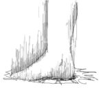 レス24番の画像1