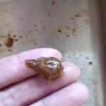 レス3番の画像5