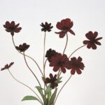 レス46番の画像1