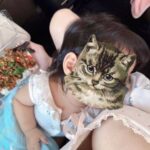 レス1番の画像1