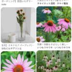 レス48番の画像1