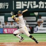 レス2番のリンク先のサムネイル画像