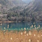 レス1番の画像4