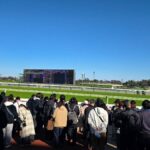 レス5番の画像1