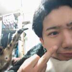 レス16番の画像1