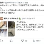 レス31番の画像2