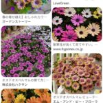 レス43番の画像1