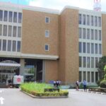 レス2番のリンク先のサムネイル画像