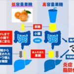 レス51番の画像4