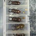 レス50番の画像1