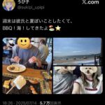 レス1番の画像2