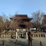 レス18番の画像1