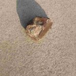 レス8番の画像1