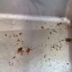 レス3番の画像4