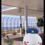 レス8番の画像1