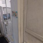 レス23番の画像1