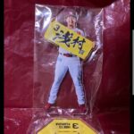 レス5番の画像1