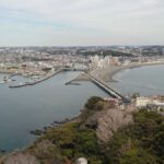 レス11番の画像1