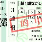 レス24番の画像1