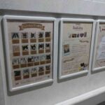 レス17番の画像1