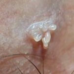 レス17番の画像1