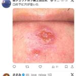 レス47番の画像1