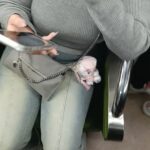 レス1番の画像6