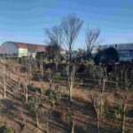 レス1番の画像20