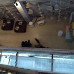 レス15番の画像1