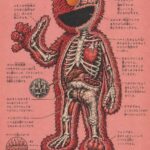 レス4番の画像1