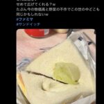 レス34番の画像1