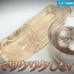 レス21番の画像1