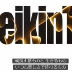 レス26番の画像5