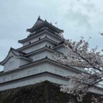 レス33番の画像1