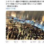 レス24番の画像1