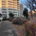 レス1番の画像26