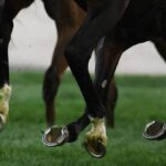 レス14番のリンク先のサムネイル画像