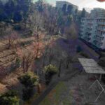 レス1番の画像19