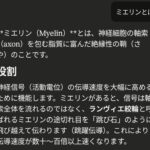 レス8番の画像1