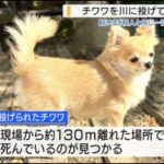 レス1番の画像2