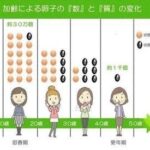 レス18番の画像1