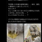 レス5番の画像1