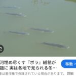 レス86番の画像2