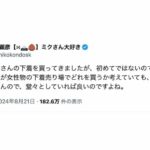 レス87番の画像1