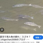 レス86番の画像3