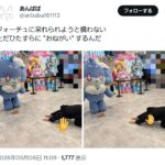 レス1番の画像2