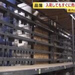 レス1番の画像3