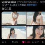 レス15番の画像5