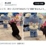 レス1番の画像3