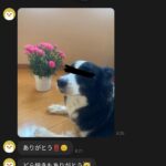 レス25番の画像1